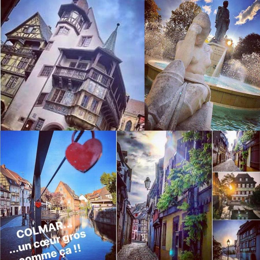 N¨°1 Schongauer Gite De Charme Centre Touristique Colmar Exterior photo